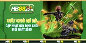 Luật chơi đá gà – Cập nhật quy định chơi mới nhất 2025