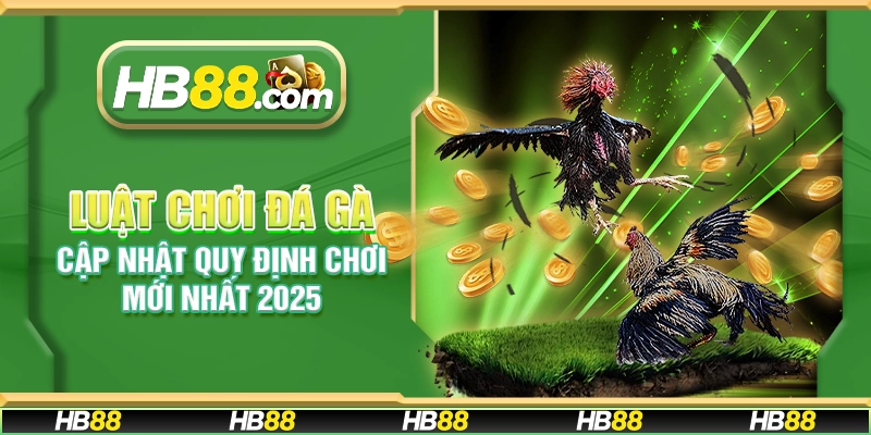 Luật chơi đá gà – Cập nhật quy định chơi mới nhất 2025