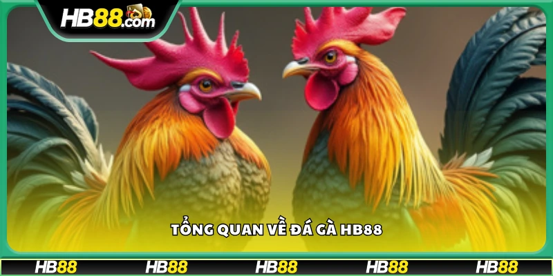 Giới thiệu về sảnh Đá Gà HB88