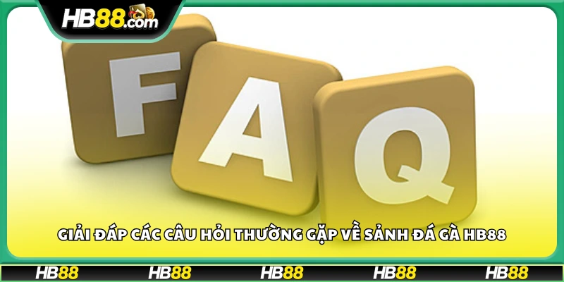 FAQs dành cho người chơi tại sảnh Đá Gà HB88