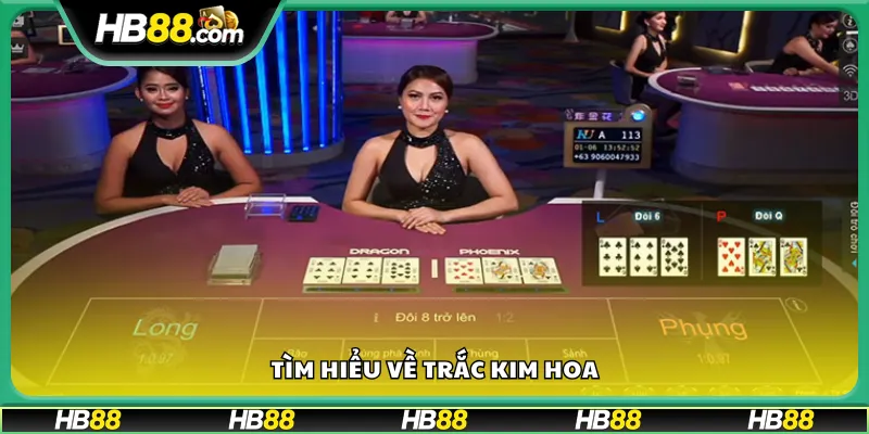 Tìm hiểu về Trắc Kim Hoa