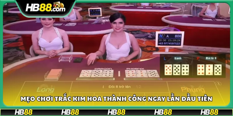 Mẹo chơi Trắc Kim Hoa thành công ngay lần đầu tiên