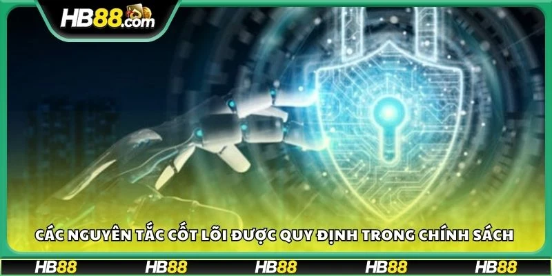 Các nguyên tắc cốt lõi được quy định trong chính sách 