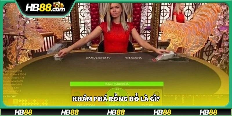 Khám phá Rồng Hổ là gì?