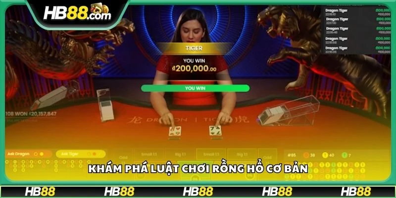 Khám phá luật chơi Rồng Hổ cơ bản