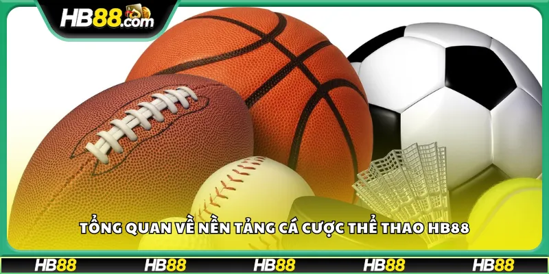 Tổng quan về nền tảng cá cược thể thao HB88