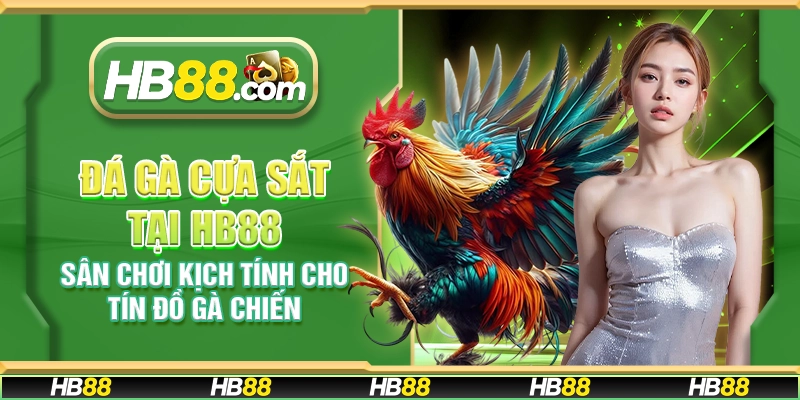 Đá gà cựa sắt tại HB88 - Trải nghiệm cá cược đỉnh cao cho fan gà chiến