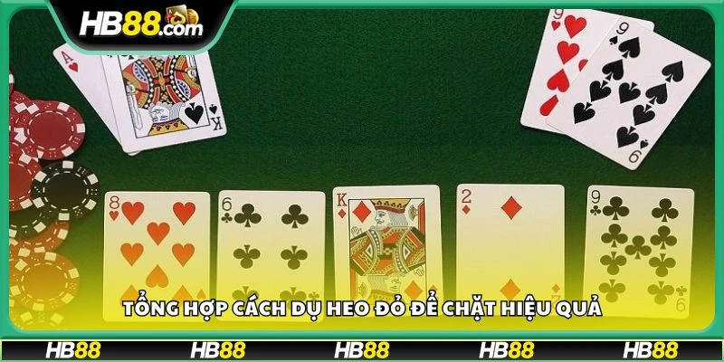Tổng hợp cách dụ heo đỏ để chặt hiệu quả