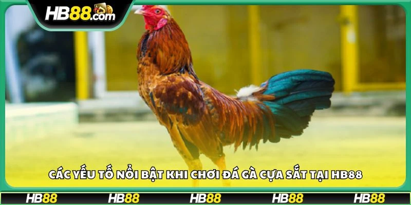 Các yếu tố nổi bật khi chơi đá gà cựa sắt tại HB88